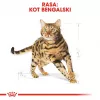 Trockenfutter für Katzen Royal Canin Bengal Adult 10 kg – Huhn, 40% Protein, 18% Fett