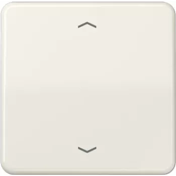 Jung CD590P Netzwerkgerät