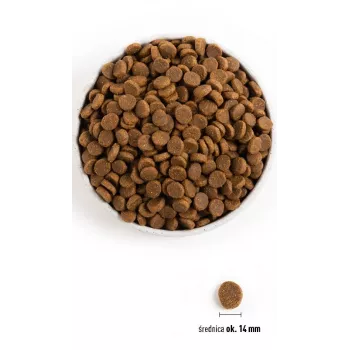 ACANA Senior - Trockenfutter für Hunde - 11,4kg