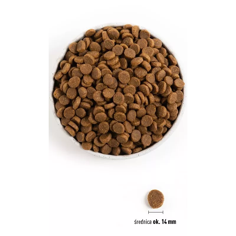 ACANA Senior - Trockenfutter für Hunde - 11,4kg