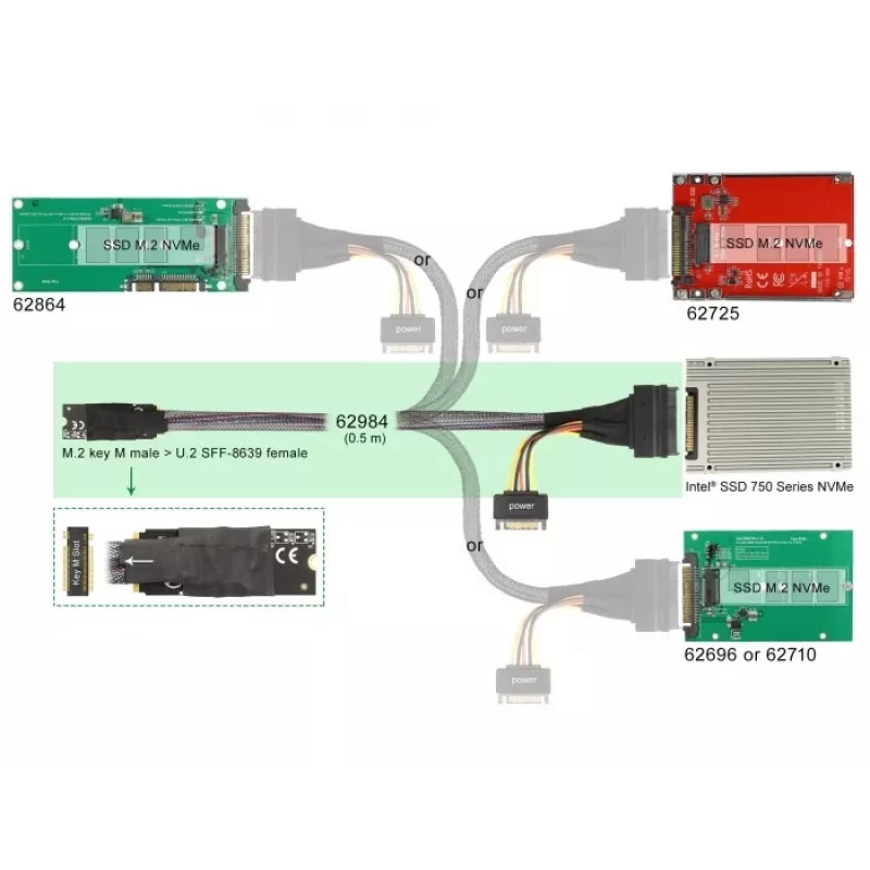 DeLOCK M.2 Key M auf U.2 SFF-8639 NVMe-Adapter mit 50 cm Kabel
