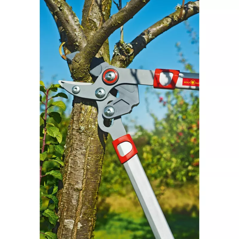 Astschere WOLF-Garten POWER CUT RS 650 BASIC PLUS