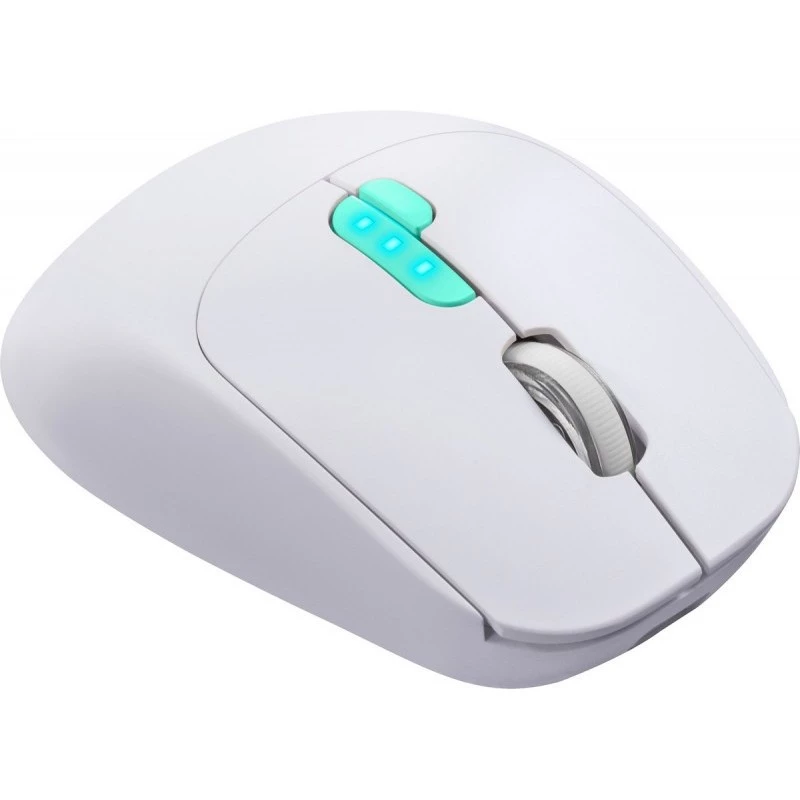 Maus Defender NITTA MM-307 RF+BT OPTISCH 1600dpi 6T WEISS