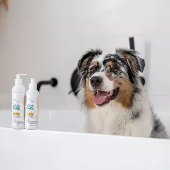 VETEXPERT Clinic Care Hypo&Omega 250 ml Katzenshampoo – hypoallergenes feuchtigkeitsspendendes Shampoo mit Omega-Fettsäuren für ausgewachsene Katzen, alle Felltypen