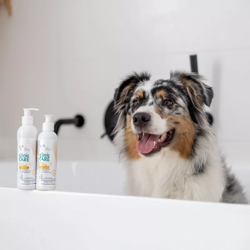 VETEXPERT Clinic Care Hypo&Omega 250 ml Katzenshampoo – hypoallergenes feuchtigkeitsspendendes Shampoo mit Omega-Fettsäuren für ausgewachsene Katzen, alle Felltypen