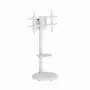 Boden-TV-Ständer GEMBIRD TVS-86TR-01-W für 37–86 Zoll Fernseher, weiß, schwenk- und neigbar, VESA 200x200–600x400, max. Belastung 50 kg