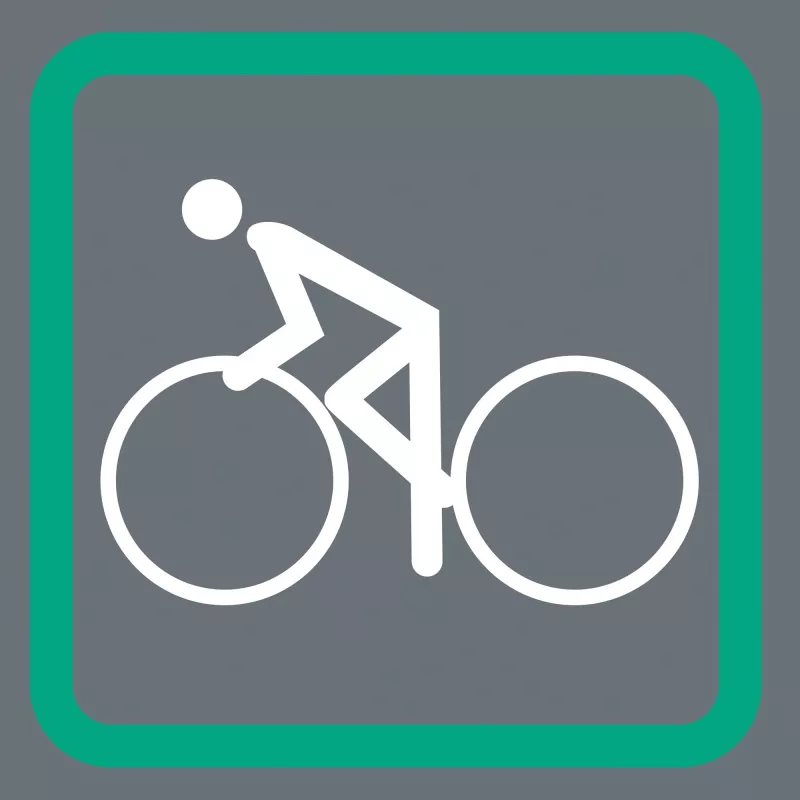 Fahrradwerkzeug Wera 05004171001