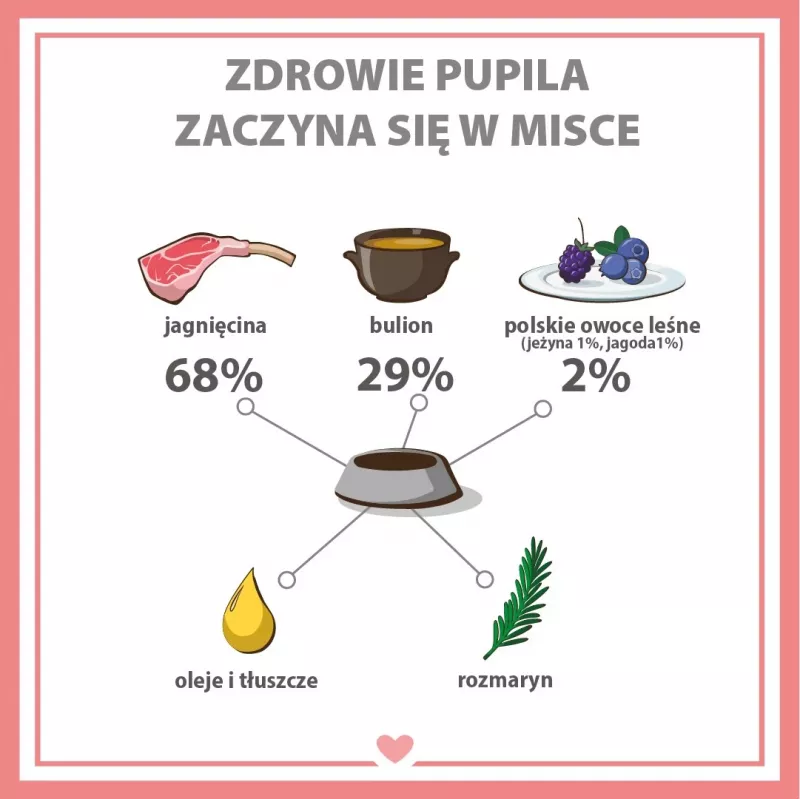 PUPIL Premium All Meat Gold Lammrücken - Nassfutter für Hunde - 800 g