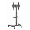 TV-Ständer GEMBIRD TVS-55T-01 für 32–55 Zoll Fernseher, Stahl, höhenverstellbar VESA 100x100–400x400, neigbar, Rollen, max. Belastung 35 kg