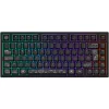 Dark Project ALU81A Terra Nova Gaming-Tastatur, ISO, Schwarz