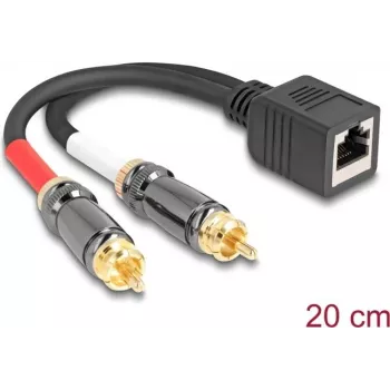 DeLOCK Audiokabel 0,2 m RJ-45 2 x RCA Schwarz