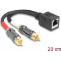 DeLOCK Audiokabel 0,2 m RJ-45 2 x RCA Schwarz