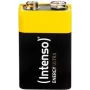Intenso 7501451 Batterie Schwarz