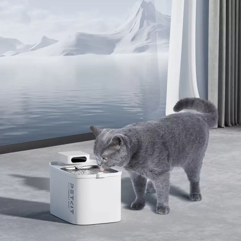 Petkit Trinkbrunnen Eversweet Max