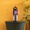 Cecotec | Moskitofalle | ByeFly 3000 Go