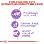 ROYAL CANIN Sterilised 37 - Trockenfutter für Katzen - 10 kg