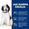 HILL'S PRESCRIPTION DIET Canine c/d Multicare Trockenfutter für Hunde mit Huhn 12 kg
