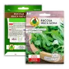 Saatband — Apte Rukola (Eruca sativa) 6 m für Haus- und Gartenanbau
