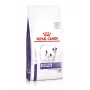 Royal Canin VHN Dog Dental Small Hundetrockenfutter, 2 kg
