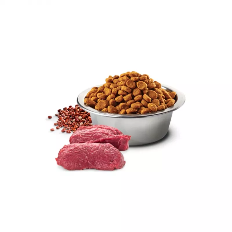 FARMINA N&D Quinoa Dog Skin&Coat Hirsch&Kokosnuss Adult Medium&Maxi - Trockenfutter für Hunde - 7 kg