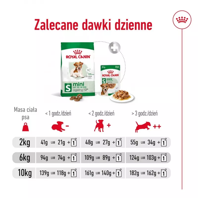 ROYAL CANIN Mini Ageing Adult +12 - Trockenfutter für Hunde - 3,5 kg