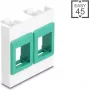 Wandmontage-Modulrahmen 45x45 mm DELOCK Easy 2x Keystone-Halterungen weiß/grün