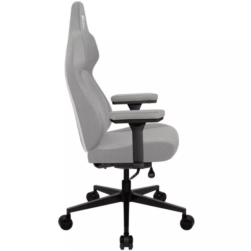Ergonomic Gaming-Stuhl ThunderX3 Core Smart - Loft