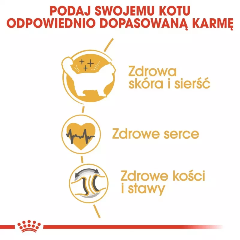 Trockenfutter für Katzen Royal Canin Ragdoll Adult 2 kg — Huhn, 32 % Protein, 18 % Fett