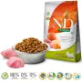 Trockenfutter für Hunde Farmina N&D Pumpkin Adult Mini Boar & Apple – 7 kg, getreidefrei, 30 % Protein, 18 % Fett, für kleine ausgewachsene Hunde