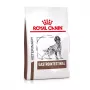 ROYAL CANIN Gastrointestinal - Trockenfutter für Hunde - 2 kg
