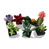 Lego Icons 10309 Sukkulenten