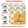 Royal Canin FBN Maine Coon Adult Trockenfutter für Katzen, 4 kg