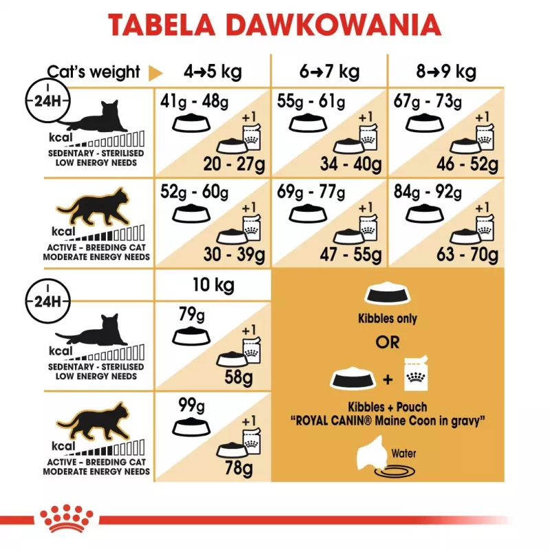 Royal Canin FBN Maine Coon Adult Trockenfutter für Katzen, 4 kg