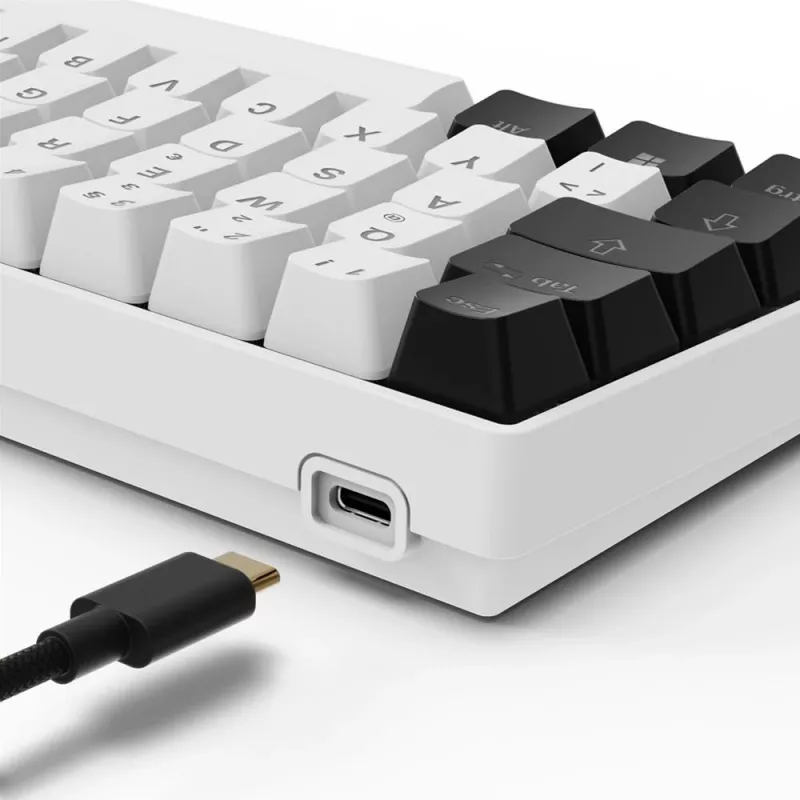 Sharkoon SGK50 S4 Tastatur Home USB QWERTZ Deutsch Weiß RGB LED 60%
