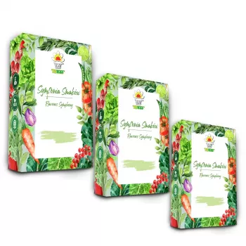 Toraf Seed Set - Set 1X3 2024 Toraf 36X1PCS