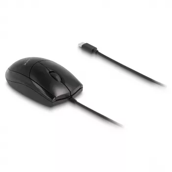 Maus DeLOCK 12114 USB Typ-C Optisch Beidhändig