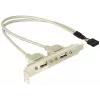 Slotbracket 1x interner USB 5-Pin auf 2x externe USB 2.0 DeLOCK 71000