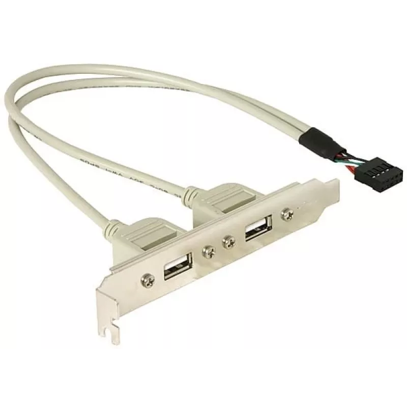 Slotbracket 1x interner USB 5-Pin auf 2x externe USB 2.0 DeLOCK 71000