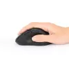 Manhattan Ergonomische kabellose Maus, rechtshändig, einstellbare 800/1200/1600 dpi, 2,4 GHz (bis zu 10 m), sechs Tasten mit Scrollrad, Combo-USB-A- und USB-C-Empfänger, Schwarz, AA-Batterie (enthalten), drei Jahre Garantie