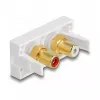 DeLOCK Easy 45 Steckdose 2 x RCA Weiß ABS