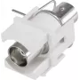 Renkforce BNC-Einbaumodul Keystone RF-KS-BNC (RF-3434002)