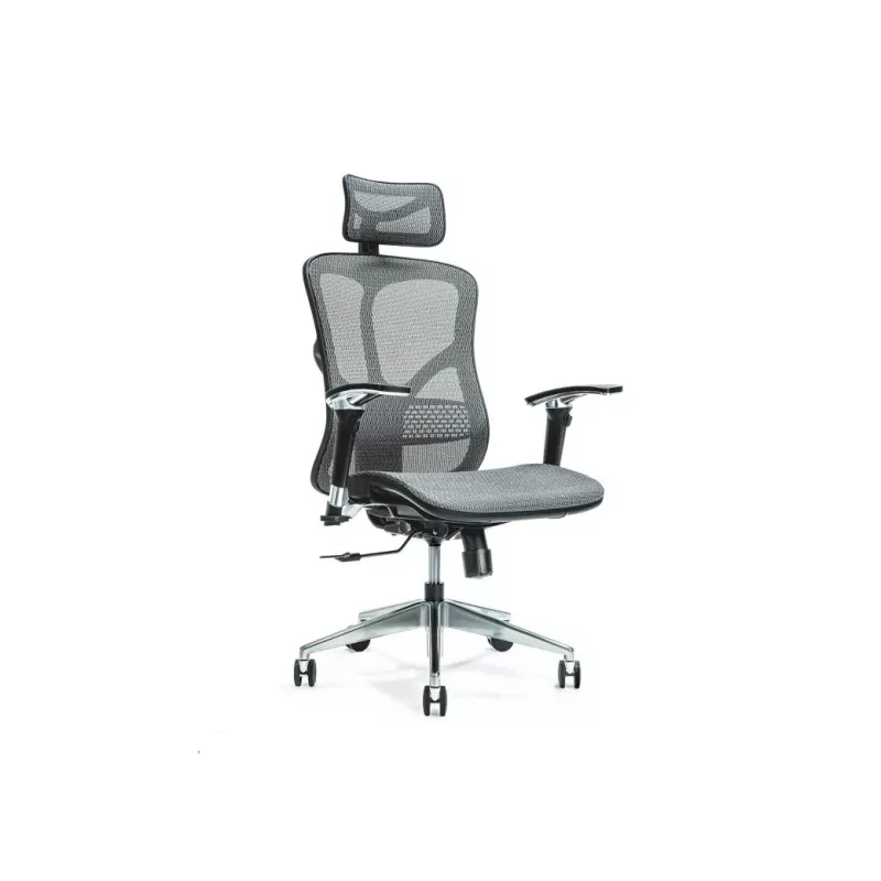Ergonomischer Bürostuhl ERGO 500 grau