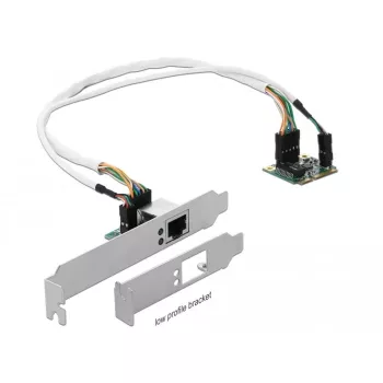 DeLOCK Mini PCIe I/O PCIe half size 1 x Gigabit LAN Low Profile – Netzwerkadapter – PCIe Half Mini Card – Gigabit Ethernet x 1 (95265)
