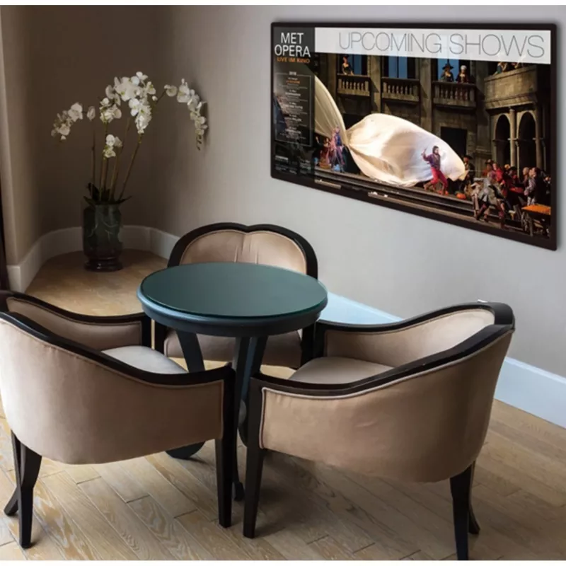 Braun DigiFrame 240 Business Line 60,96cm (24,0 Zoll)