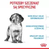 Trockenfutter für Hunde Royal Canin Medium Puppy 15 kg — für mittelgroße Welpen, Hühnergeschmack, 32% Protein, 20% Fett