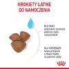 Trockenfutter für Hunde Royal Canin Starter Mutter & Babydog 1 kg — Huhn, 30% Protein, 22% Fett