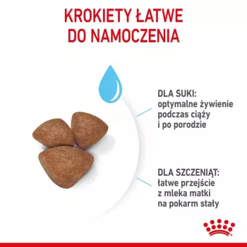 Trockenfutter für Hunde Royal Canin Starter Mutter & Babydog 1 kg — Huhn, 30% Protein, 22% Fett