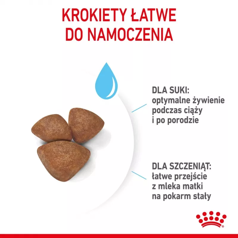 Trockenfutter für Hunde Royal Canin Starter Mutter & Babydog 1 kg — Huhn, 30% Protein, 22% Fett