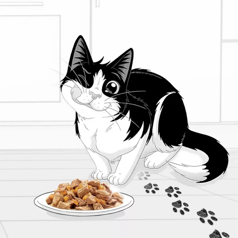 Nassfutter für Katzen Felix PURINA Beutel 85 g — Huhngeschmack, ausgewachsene Katzen, 82 % Feuchtigkeit, 11,5 % Protein