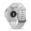Smartwatch GARMIN Forerunner 165 — GPS, AMOLED 1,2 Zoll, 4 GB, 5 ATM, 11 Tage Akku, Graues Gehäuse, Weißes Armband